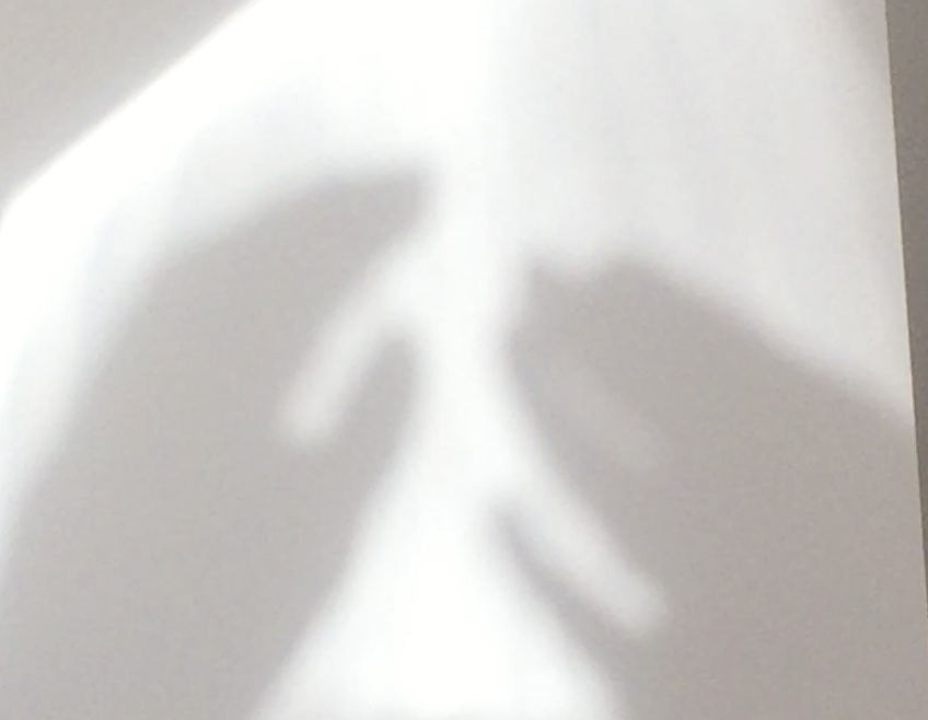 Kombineret release og fernisering på Proton Records